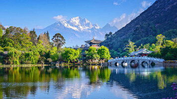 28 Day China: The Big One (Wendy Wu)