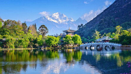 28 Day China: The Big One (Wendy Wu)