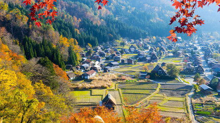 14 Day Discover Japan (Wendy Wu)