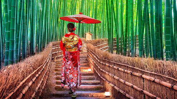 12 Day Experience Japan (Wendy Wu)