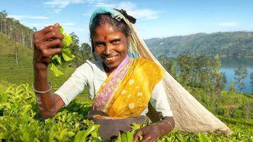 15 Day Highlights of Sri Lanka (Wendy Wu)