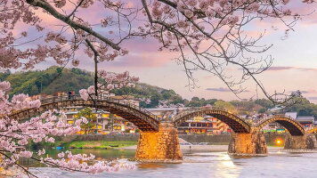 14 Day Japan & the Scenic South (Wendy Wu)