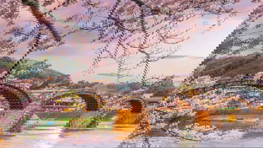 Japan & the Scenic South