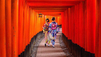 18 Day Japan Uncovered (Wendy Wu)