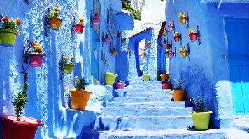 19 Day Moroccan Odyssey (Wendy Wu)