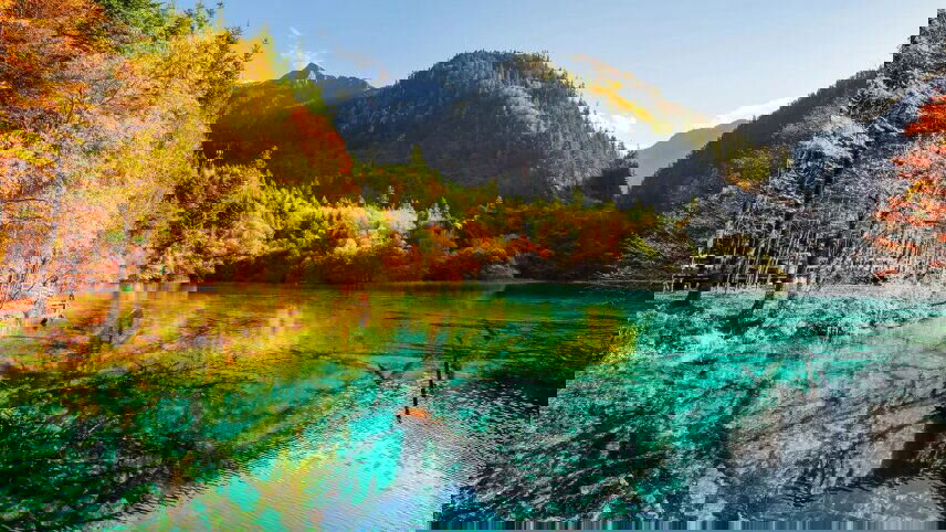 Natural Treasures of China