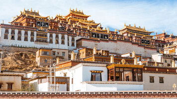20 Day Tibetan Wonders (Wendy Wu)