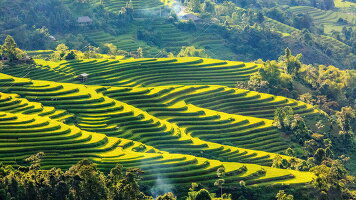 20 Day Vietnam & Cambodia Discovery (Wendy Wu)