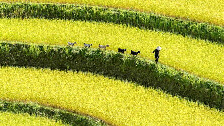 16 Day Vietnam Trails (Wendy Wu)