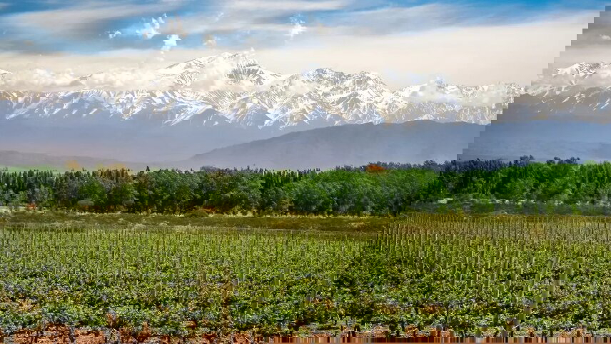 Wines & Wonders of South America 