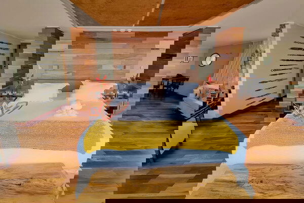 Delfin III Cabin Image