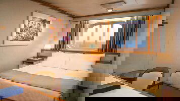 Diamond Princess Oceanview Stateroom (Obstructed)