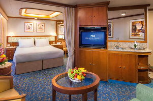 Discovery Princess Window Suite