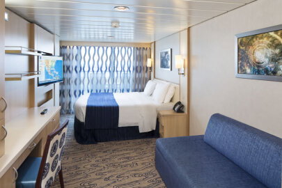 Freedom of the Seas Ocean View Balcony