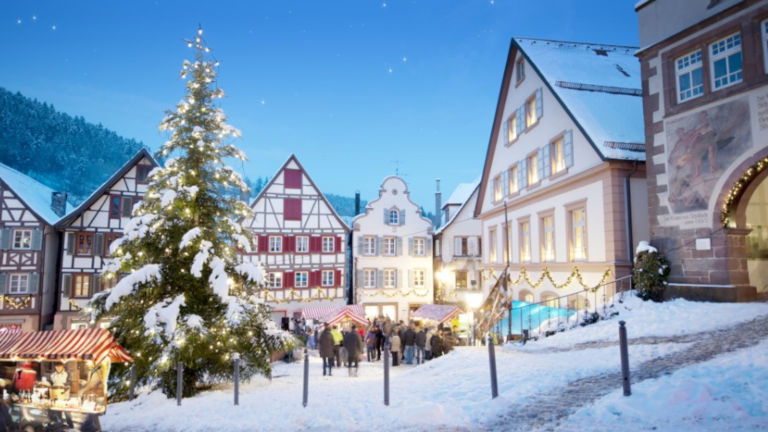 Black Forest in Winter