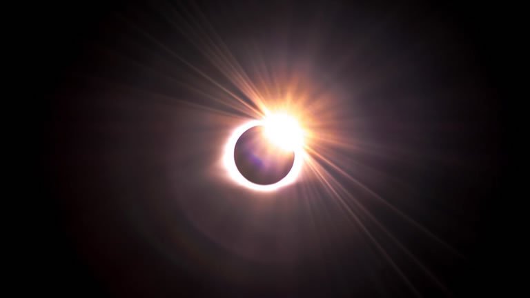 Ningaloo King of Eclipses