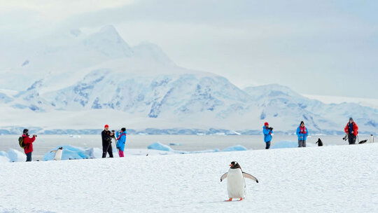 White Christmas in Antarctica