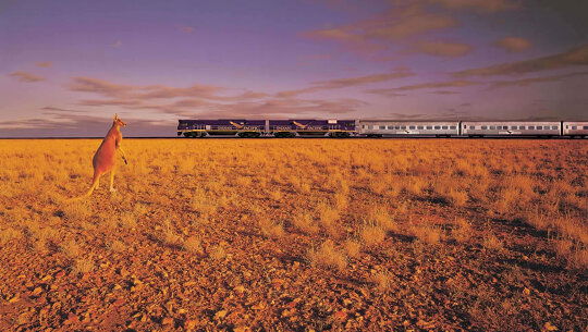 Nullarbor Plain