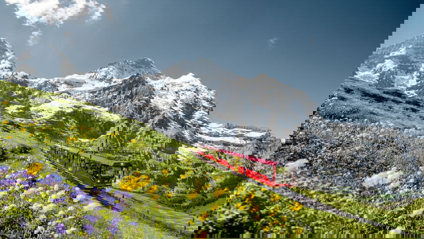 Grand Alpine Explorer