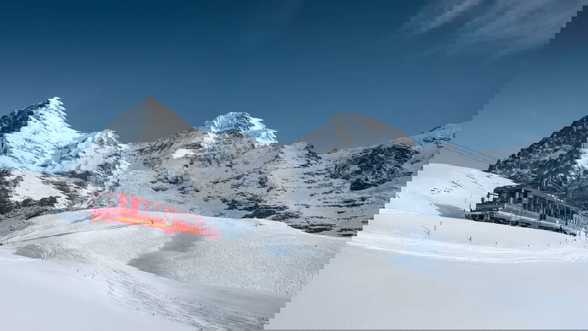 Swiss Delight (Winter)