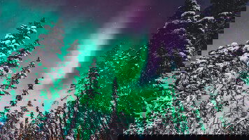 Northern Lights Tours Tours