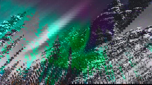 Northern Lights Tours Tours